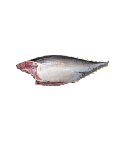 Yellowfin Tuna HGT- Sashimi