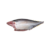 HGT- Sashimi